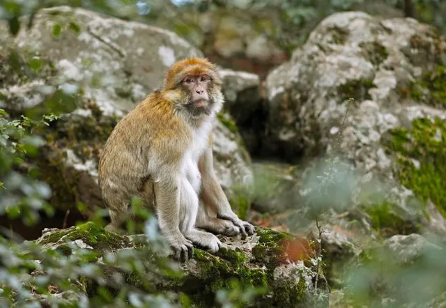 Lake Aguelmame Sidi Ali