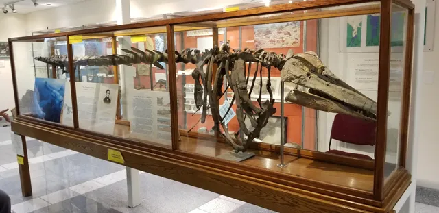 The Perkins Geology Museum