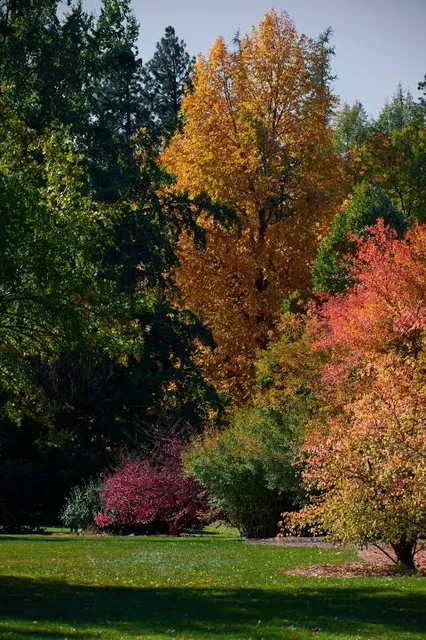 John A. Finch Arboretum