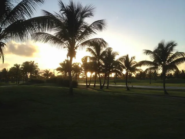 photo-1
