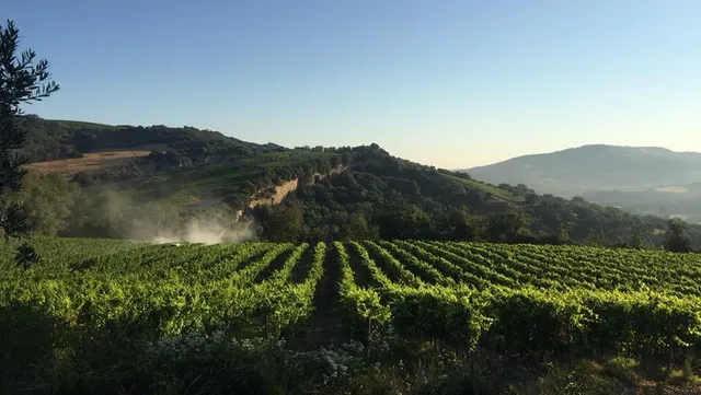 Molino Di Sant'Antimo Estate and Winery