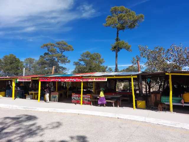 Tacos y Cortes "Barrancas"