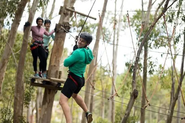 Acrobranch Centurion