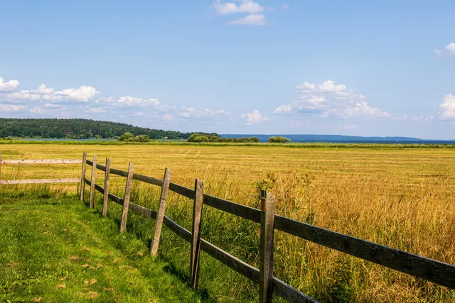 Kungsbro Naturreservat
