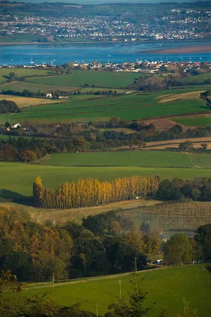 Mamhead - Forestry England