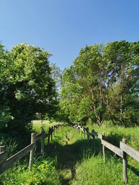 Parc de la Prairie du Puiseaux et du Vernisson