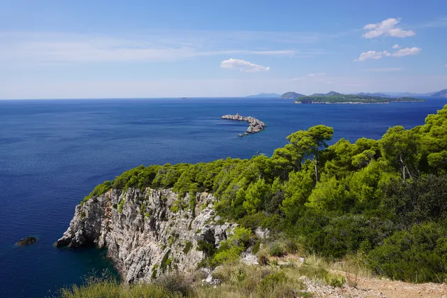 Velika and Mala Petka Forest Park
