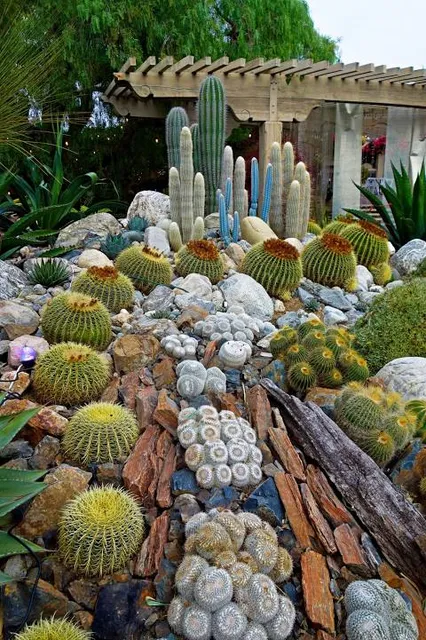 Sherman Library & Gardens