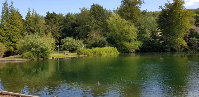 Bushy Ruff Country Park