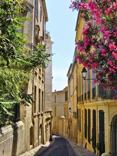 Musée du Vieux Montpellier