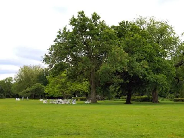 Alstervorland parkrun