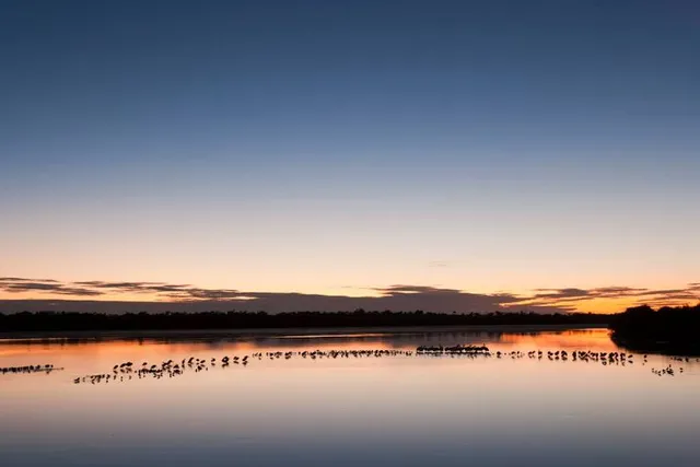 J.N. "Ding" Darling National Wildlife Refuge