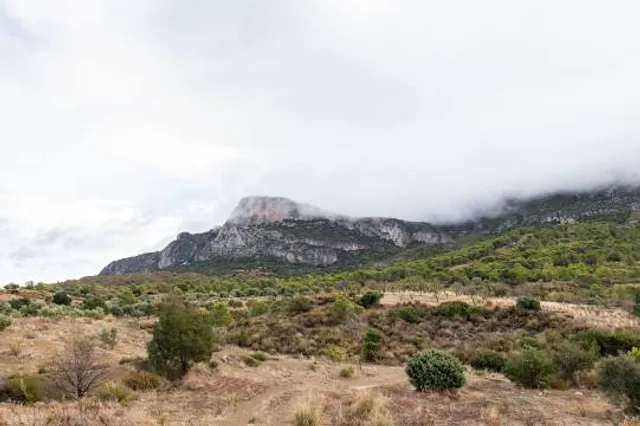 Sidi Medien - ⵙⵉⴷⵉ ⵎⴻⴷⵉⴻⵏ