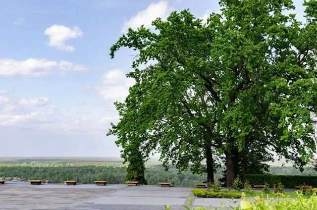 Vila dinastije Obrenović