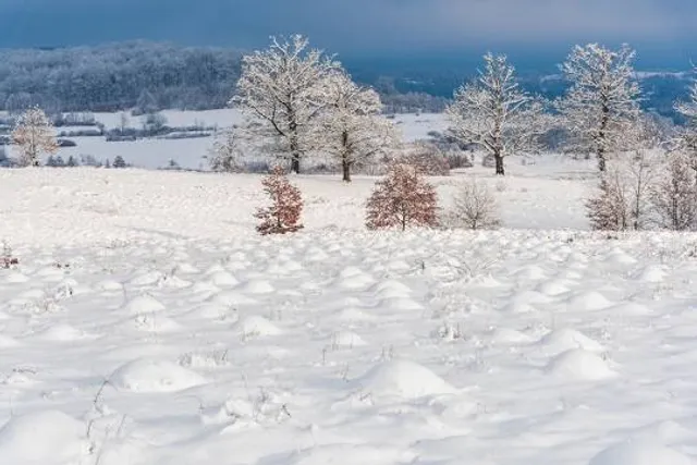 Hezar Pele Forest Park