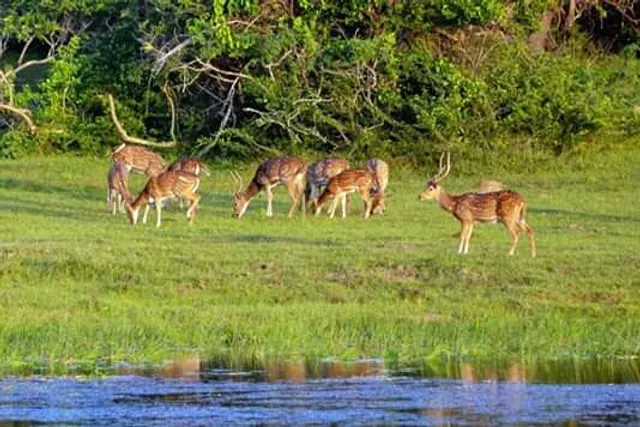 Maduru Oya National Park