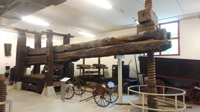 Museo del Falegname Tino Sana