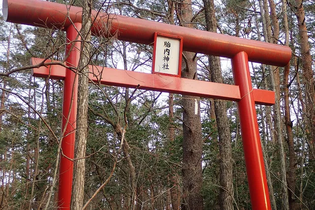 Yoshida Lava Tree Molds