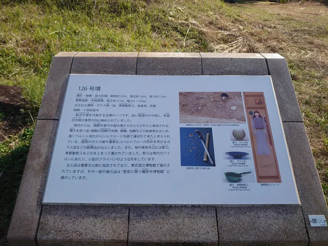 Niizawa-senzuka Tumula, Nationally Designated Historic Site