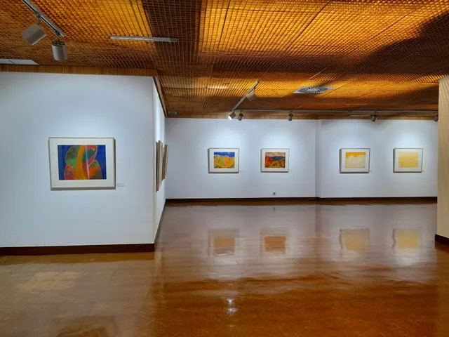Museu Municipal Armindo Teixeira Lopes