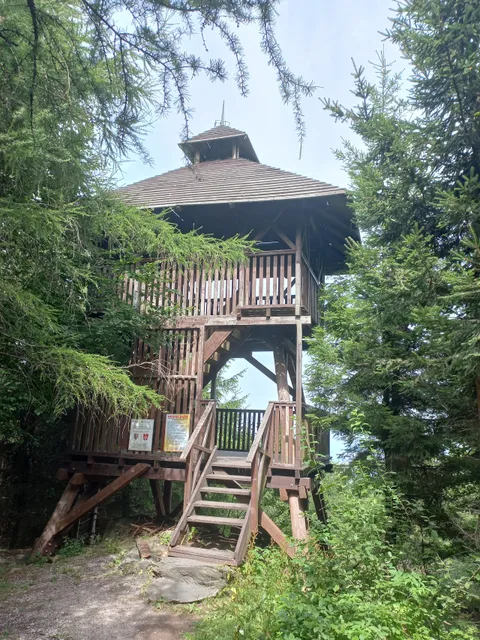 Wieża widokowa na Jaworniku Wielkim