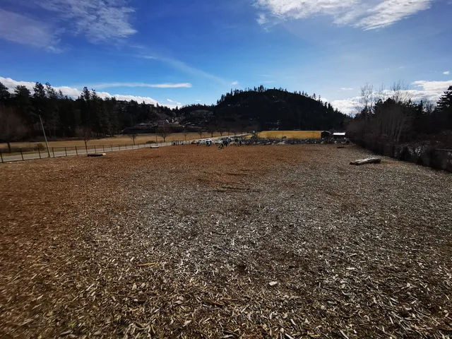 Shannon woods off leash dog park