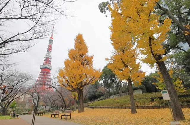 Momiji-dani(Maple valley)