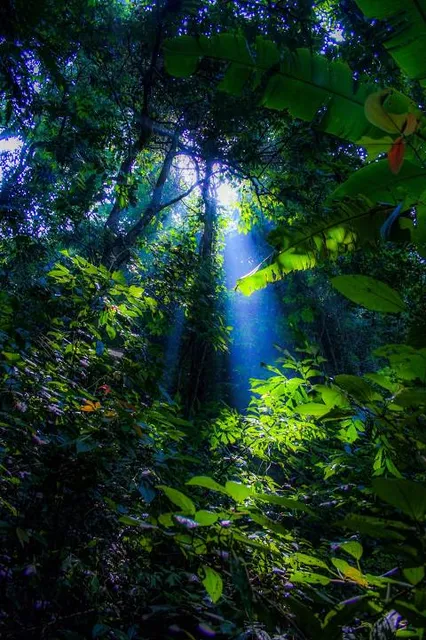 Jungle Experience Zoo