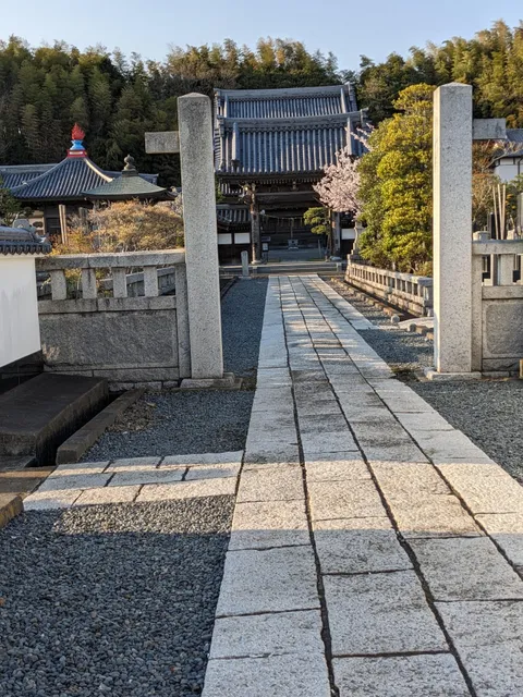 photo-1