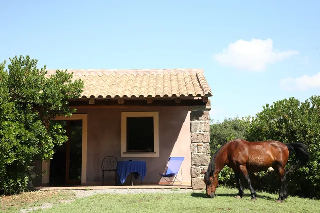 Country Hotel Mandra Edera