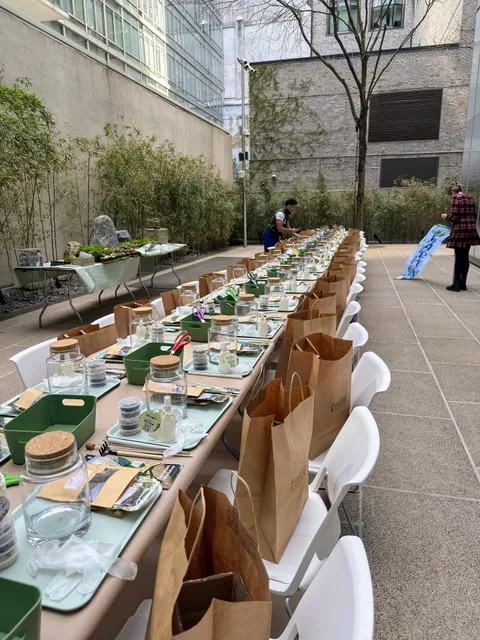 Terrart NYC | Terrarium & Moss Walls | Workshops