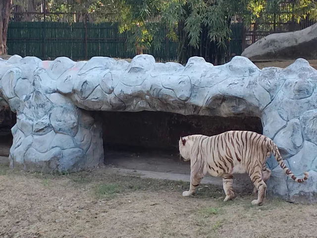 Delhi Zoo