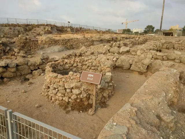 photo-1