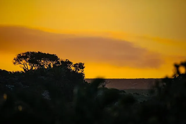 African Dawn Wildlife Sanctuary