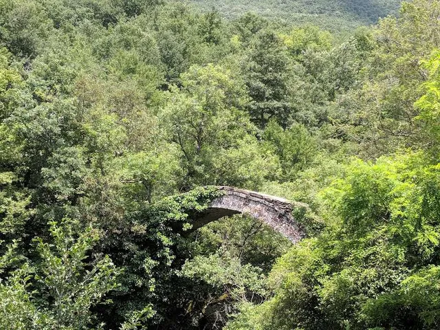 Municipality of Debar