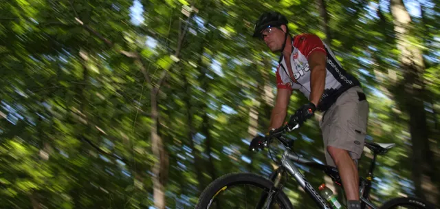 Mitchell Memorial Forest