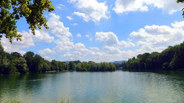 Erlensee