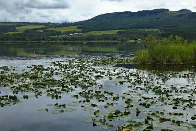Tyhee Lake