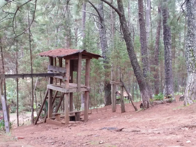 photo-2