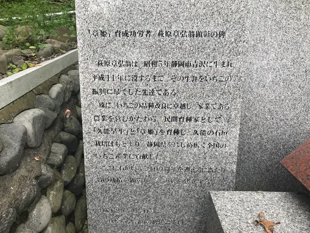 photo-2