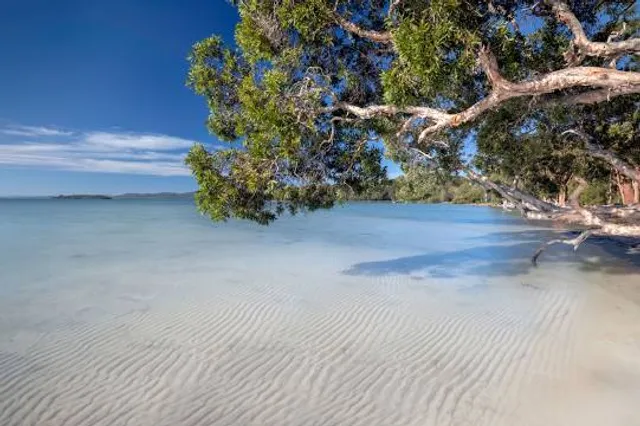 Tilligerry National Park