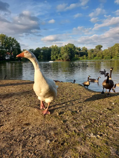 Parc JOURDAIN KRAAINEM