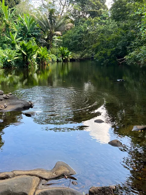 Rivière Des Creoles