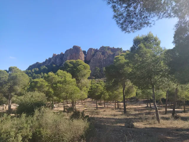 Mirador Cresta del Gallo