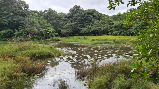 Iphithi Nature Reserve