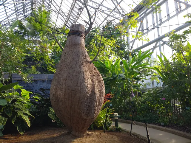 Tokiwa Museum Midoritohanatochokokuno Museum