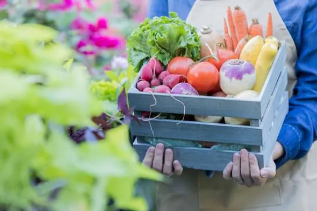 Your DeKalb Farmers Market