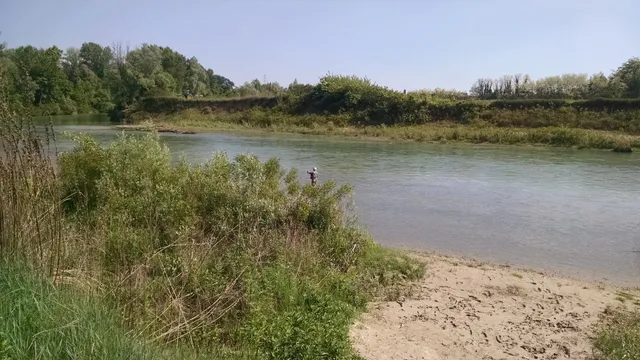 Bike Tribe Mtb Trail