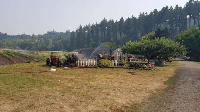 PUMPKIN PATCH - JIM DANDY FARM