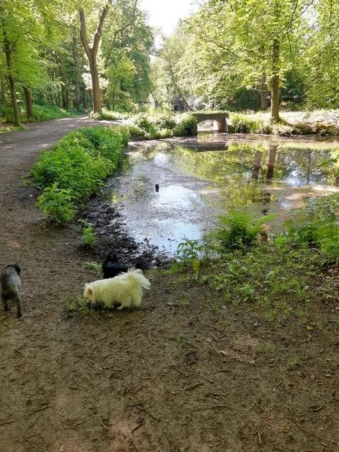 Brede Duinen-Route (Anwb)